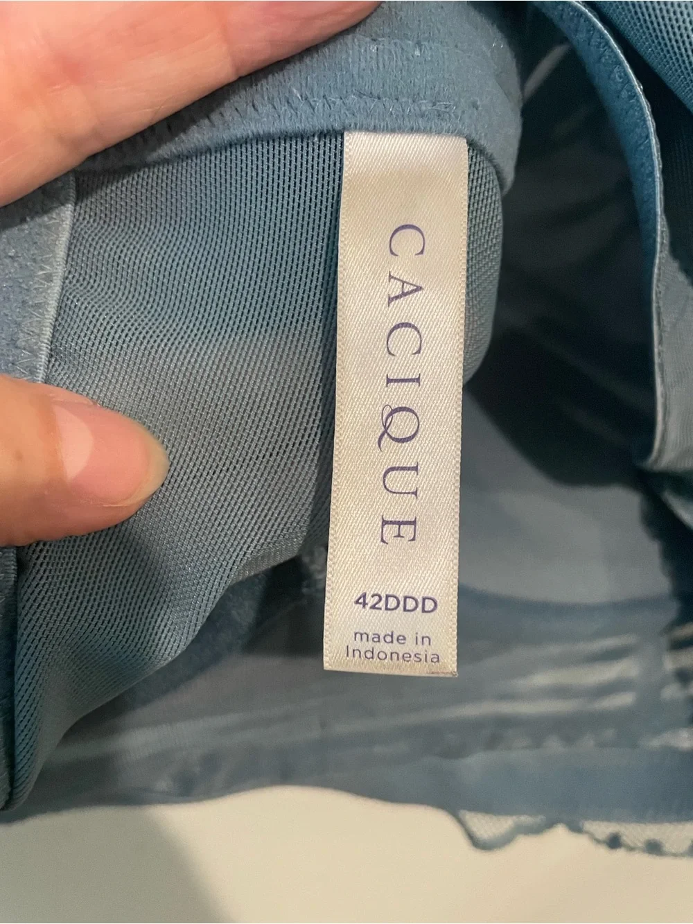 Cacique Lace Longline Bra — Slate Blue